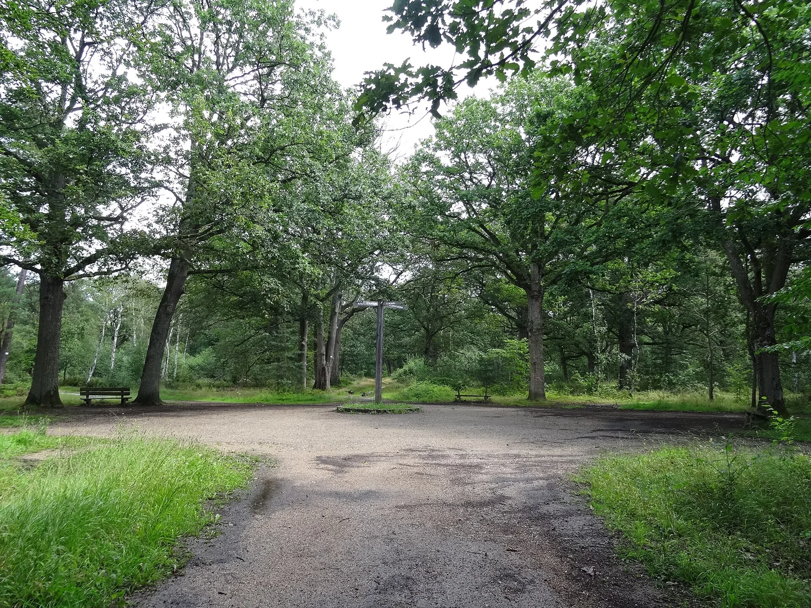 Sous-bois et sentier dans la forêt régionale de Rougeau
